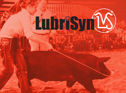 LubriSynLVS online store
