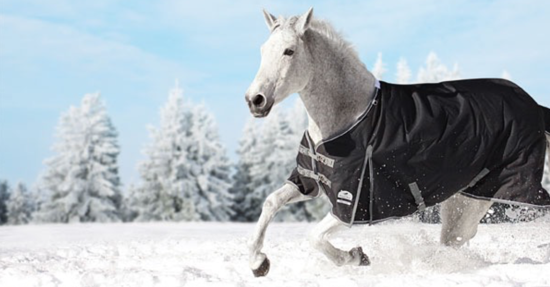 Winter Blanketing 101 LubriSynHA