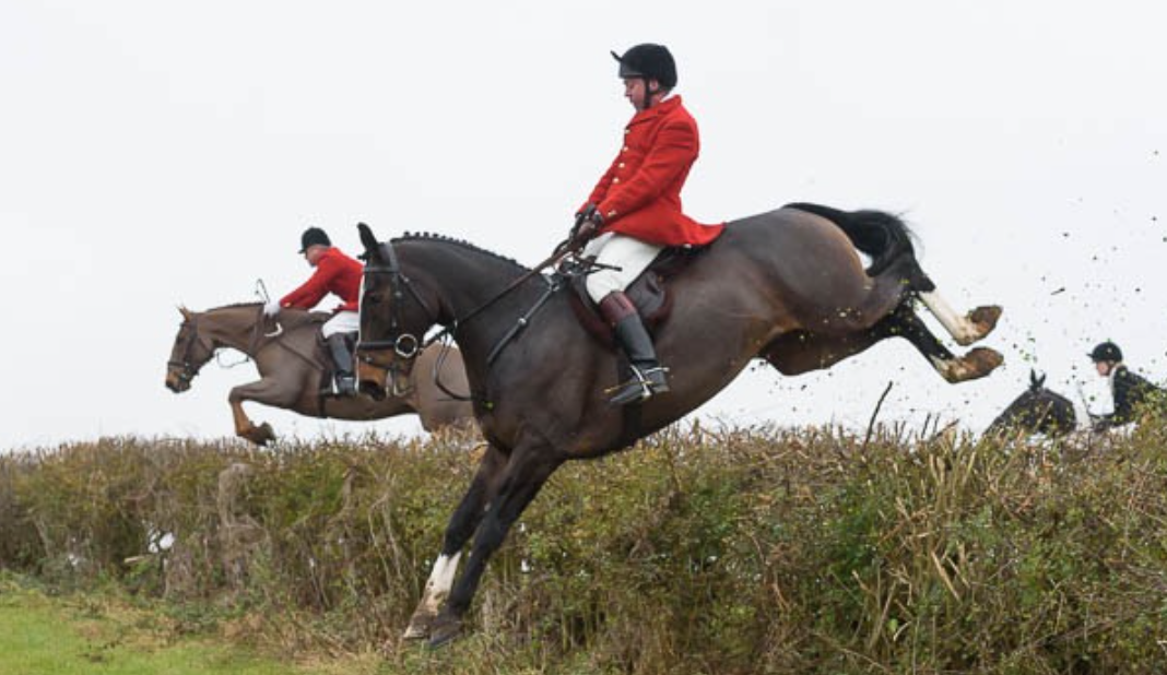 Conditioning the Field Hunter LubriSynHA