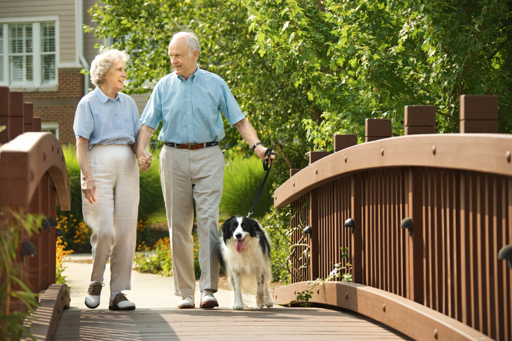 Senior couple walking dog over a bridge.