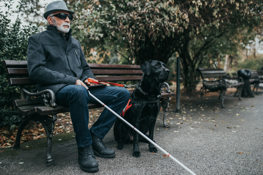 Man sits on a park bench with his seeing eye dog.