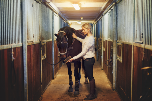 Woman grooming horse in barn.
