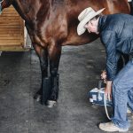 Dr. Steven Allday taking x-rays of a bay gelding's front left leg in a barn alleyway.